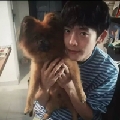 就让我的爱像记忆吧