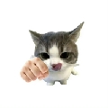 晚晚QoQ