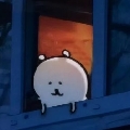 wdd小白