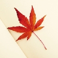 风山啸