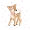 清冷猫