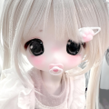 小笨帝