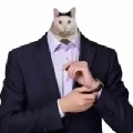 你个瞎马