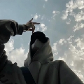 球球大作战别离