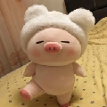 思思不是丝