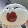 是昭昭么