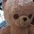 Oscar灬小奥
