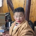 辣白菜bb