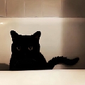 地狱小猫921