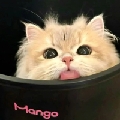 小喝宝贝