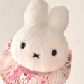 恩媛iu