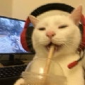 橹粽