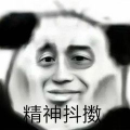 冷兔M