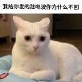 冷暖迷蝴蝶