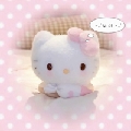 小蒽Enz