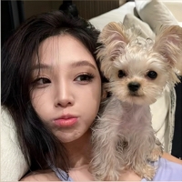 晚瑶儿i
