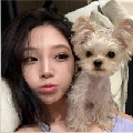 晚瑶儿i