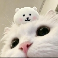 小熊oni