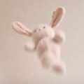 狗牙goya
