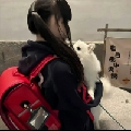 木木ou