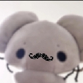谢知之