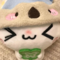 小鱼YYv