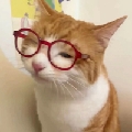 耶耶酱o