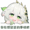 可爱的纳稀哒