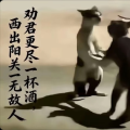 用户6442619360