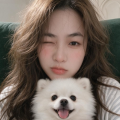 菲小雅鱼