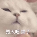 表妹NACL元宝滴