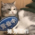 是你的鸭阿