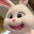 阿狸oi