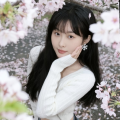 是蓝莓丫