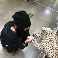 久九小九久