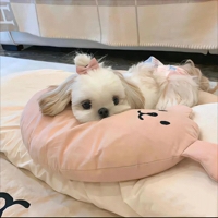 堡堡1