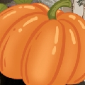 林昕怡H