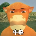 纯情宝宝西高地