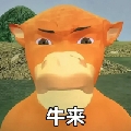 纯情宝宝西高地