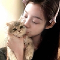 清冷猫