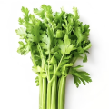 中森芹菜